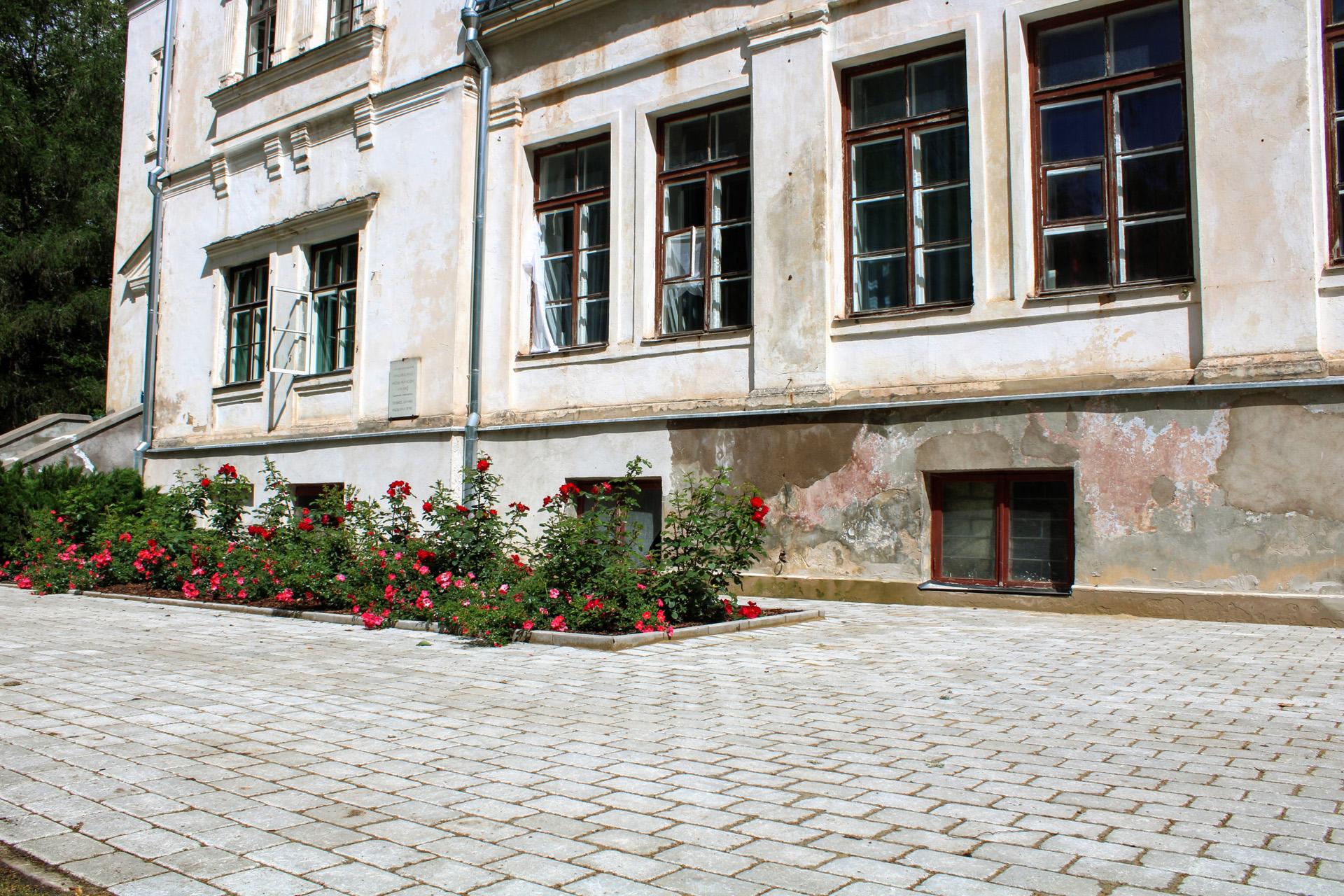 portfolio image